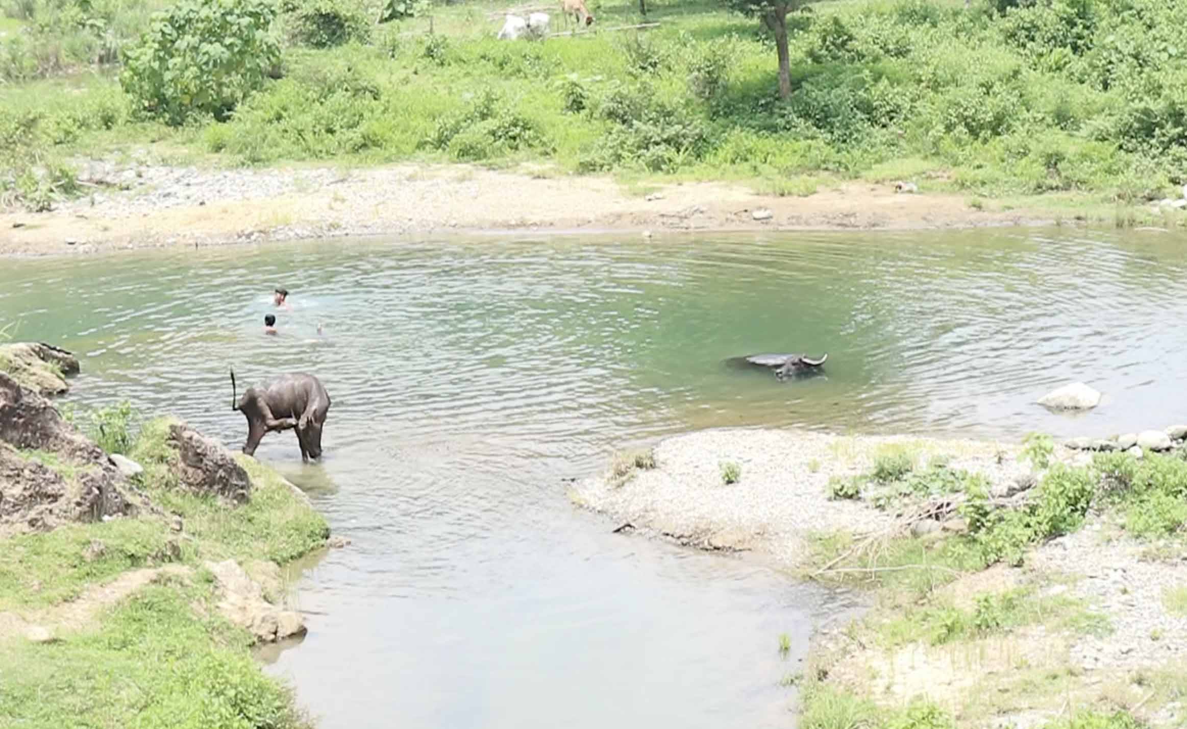 CCWIT: Quenching the water problem in Sal-lapadan Barangay