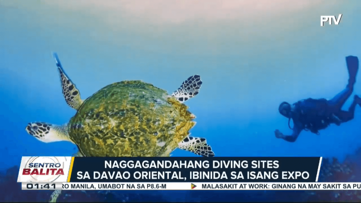 Naggagandahang diving sites sa Davao Oriental, ibinida sa isang expo; DOT, tiniyak ang pagsuporta sa pagpapalakas ng iba’t ibang diving sites ng probinsiya