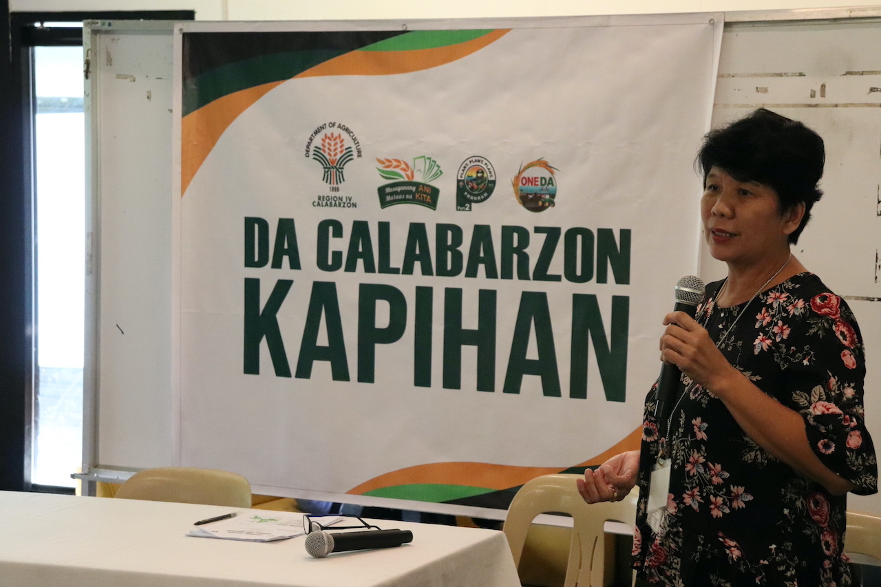CALABARZON Featured Story