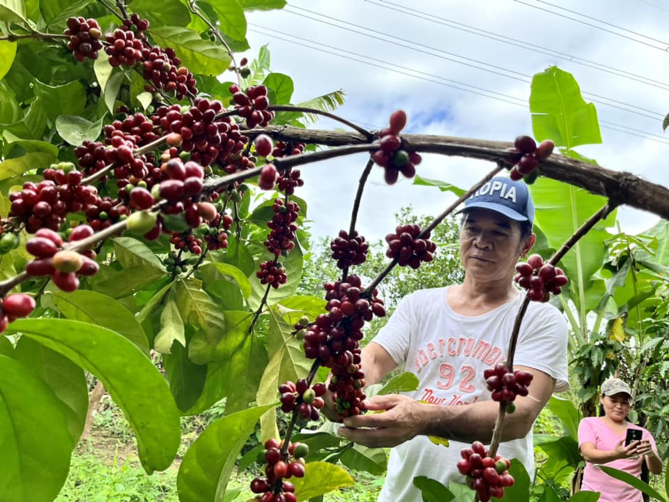 CALABARZON Featured Story
