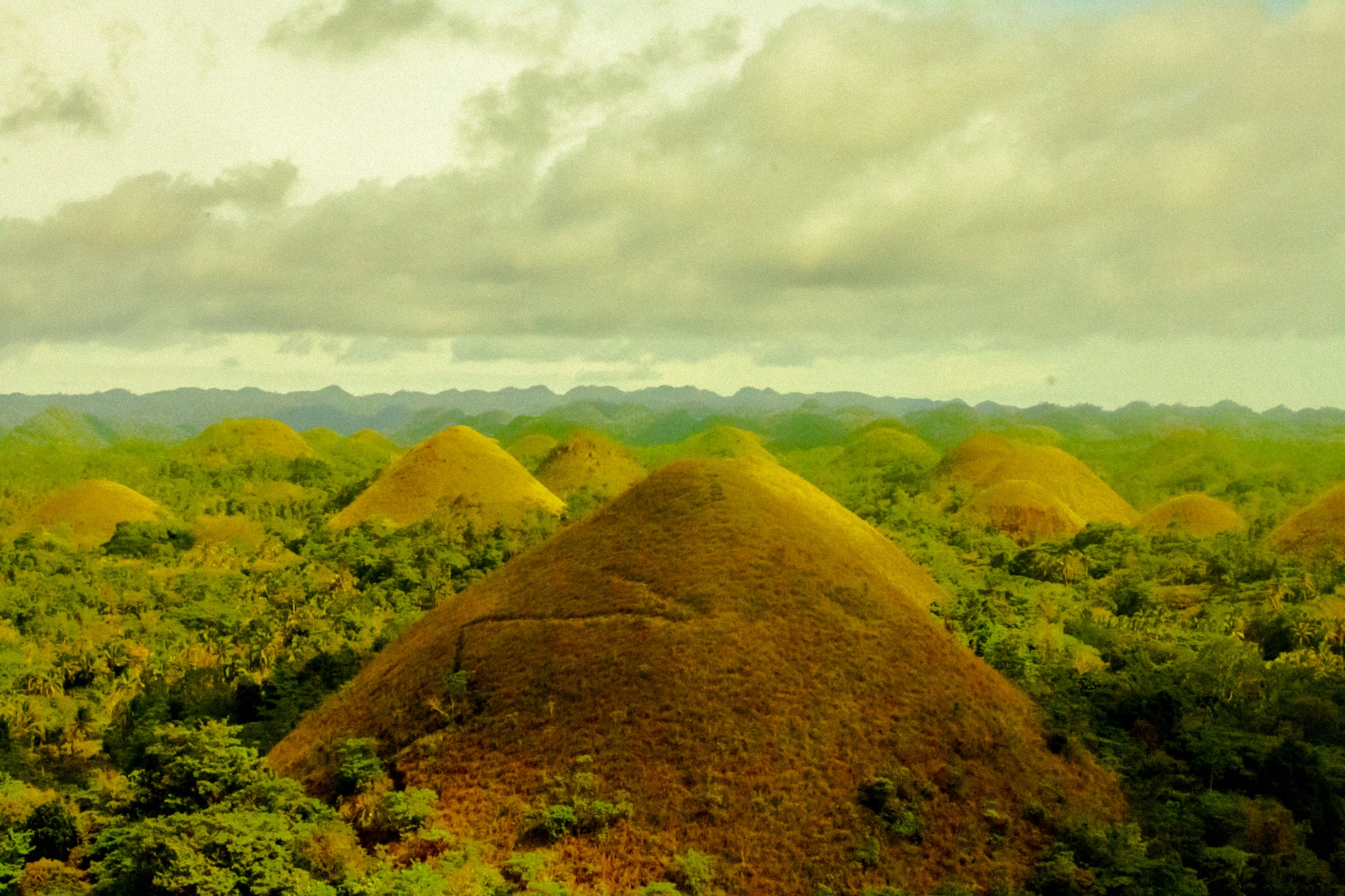 Chocolate Hills in Central Visayas - Tours and Activities