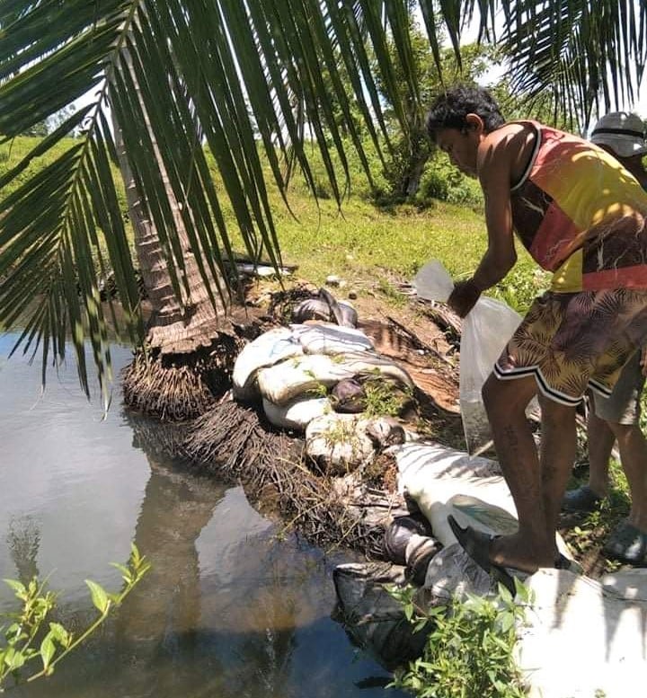 PIA - Bohol agri office patabangon pagfollow-up sa moratorium sa rental ...