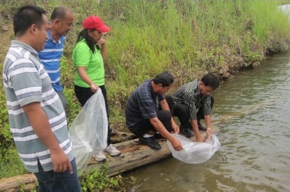 PIA - Bohol agri office patabangon pagfollow-up sa moratorium sa rental ...