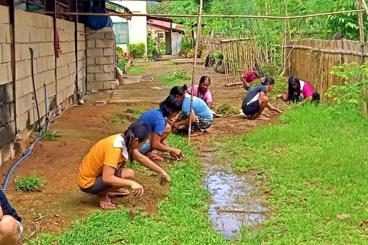 29 na benepisyaryo ng 4Ps, binuo ang Gulayan sa Paaralan sa Busuanga ...