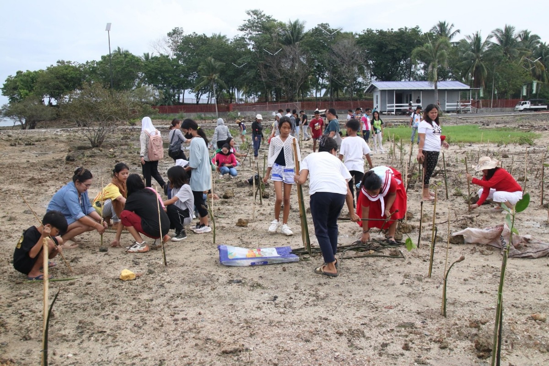 382 LDN public schools join nationwide planting of 236K trees ...