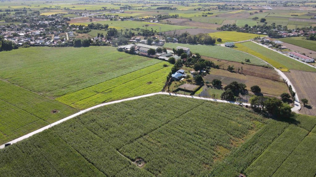 The Department of Public Works and Highways paves the 583-meter farm-to-market road in Concepcion, Tarlac. (DPWH)