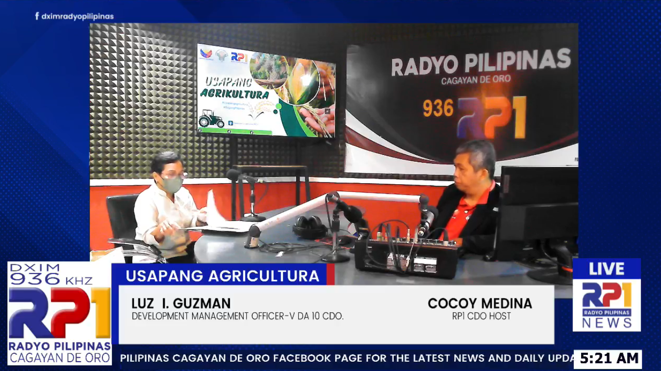 During the "Usapang Agrikultura" segment on January 13, Luz I. Guzman (left), Development Management Officer of DA-10, spoke with Mars Medina (right) of Radyo Pilipinas Cagayan de Oro about urban gardening and the Department of Agriculture's support. (Photo courtesy of RP1)