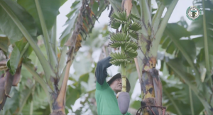Roldan Chan, a local farmer, shared that the Kadiwa program serves many purposes. The most important thing for him as a farmer is that it gives them access to a direct market without any transportation costs. (Photo courtesy of LGU Camiguin)
