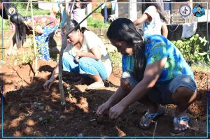Part of the Province of Misamis Oriental’s thrust is food security. To ensure the security of food in the province, Gov. Peter Unabia ordered the implementation of the Food Always in the Home program in the local government. (Photo courtesy of Misamis Oriental Provincial Information Office)
