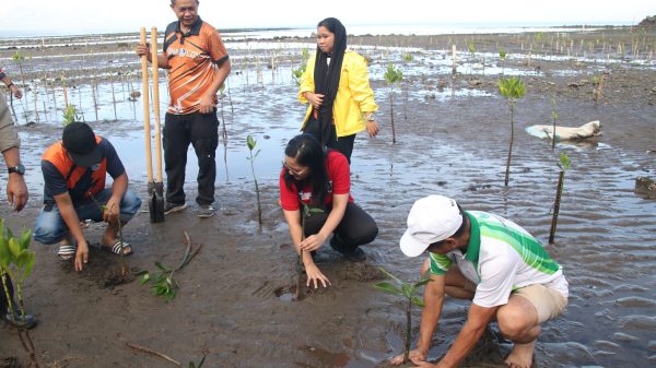 The Community Environment and Natural Resources Office Iligan and Provincial Environment and Natural Resources Office of Lanao del Norte spearheaded mangrove planting at Marcelo Fertilizer, Barangay Maria Cristina. (Photo: ADD/PIA-10/Lanao del Norte)