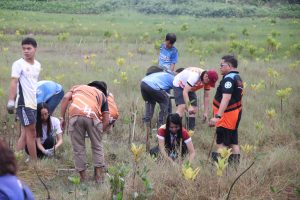 Various stakeholders plant mangrove propagules at Esplanade, Barangay Santiago, Iligan City in observance of World Wetlands Day. (Photo: ADD/PIA-10/Lanao del Norte)