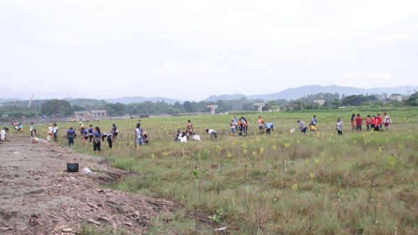 Around 2,500 mangrove propagules were planted at Esplanade, Barangay Santiago, Iligan City in observance of World Wetlands Day. (Photo: ADD/PIA-10/Lanao del Norte) (Photo: ADD/PIA-10/Lanao del Norte)